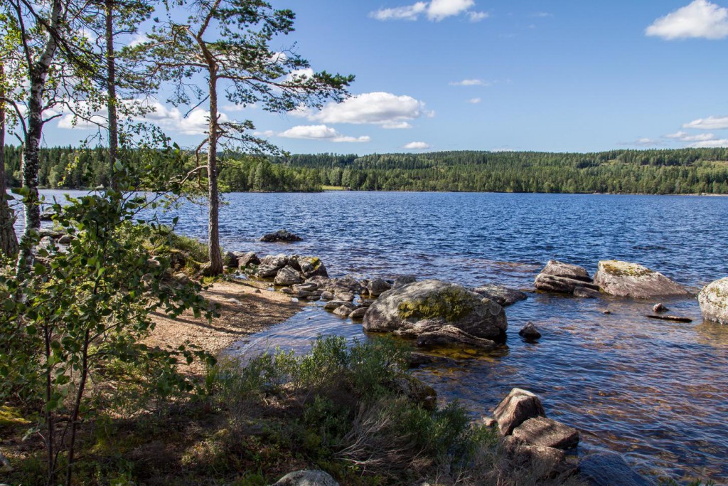 Im Glaskogen Nationalpark