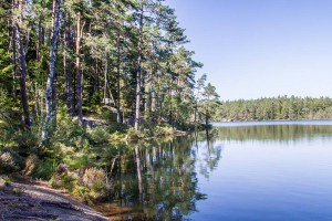 Mehr über den Artikel erfahren Schweden 2015 – Durch den Tiveden-Nationalpark
