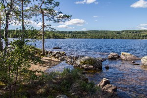 Schweden 2015 – Glaskogen Nationalpark