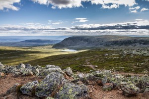 Schweden 2015 – Rentiere auf dem Nipfjället