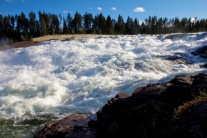 Storforsen – die größten Stromschnellen Nordeuropas