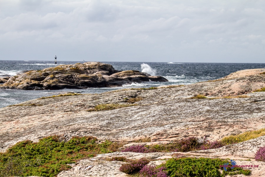 Read more about the article Schweden 2015 – Tjurpannan Naturreservat
