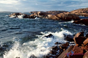 Mehr über den Artikel erfahren Stångehuvuds Naturreservat – in den Schären von Lysekil