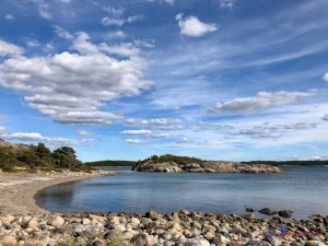 Baden im Saltö-Naturreservat