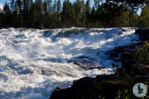 Es dröhnt in den Ohren