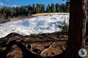 Hier will man nicht reinfallen