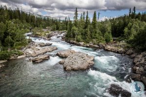Mehr über den Artikel erfahren Der Vildmarksvägen – Wilderness Road von Strömsund nach Vilhelmina