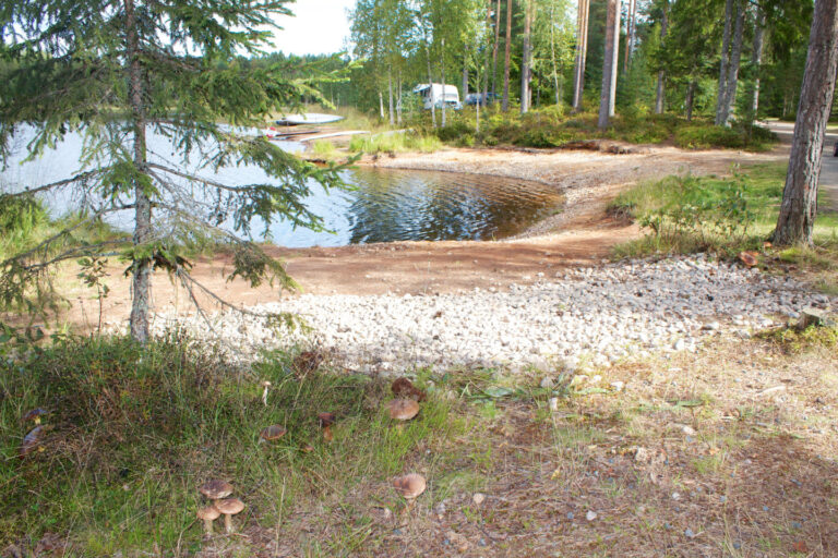 Mehr über den Artikel erfahren Nya Skogsgården