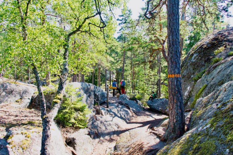 Mehr über den Artikel erfahren Im Tiveden Nationalpark – die raue Schönheit Südschwedens