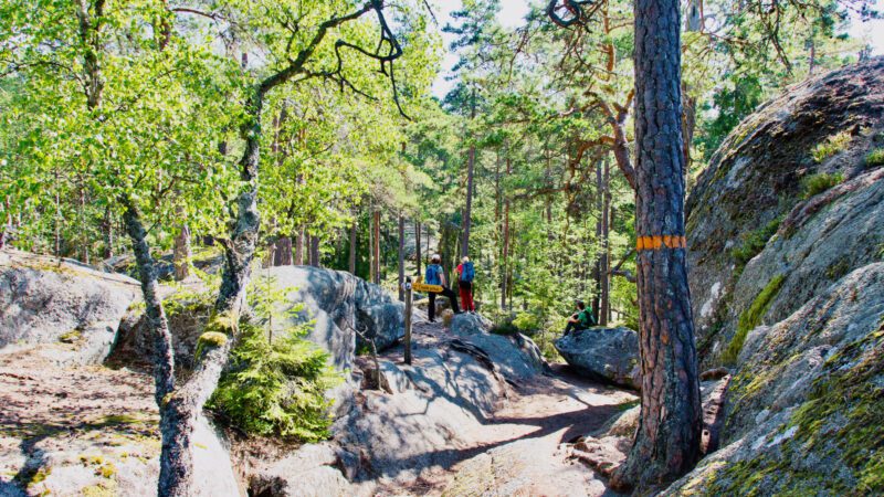 Wanderung durch den Tiveden Nationalpark zur Trollkyrka