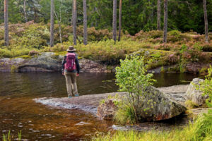 Trestiklan Nationalpark – Das wilde Herzstück Südschwedens