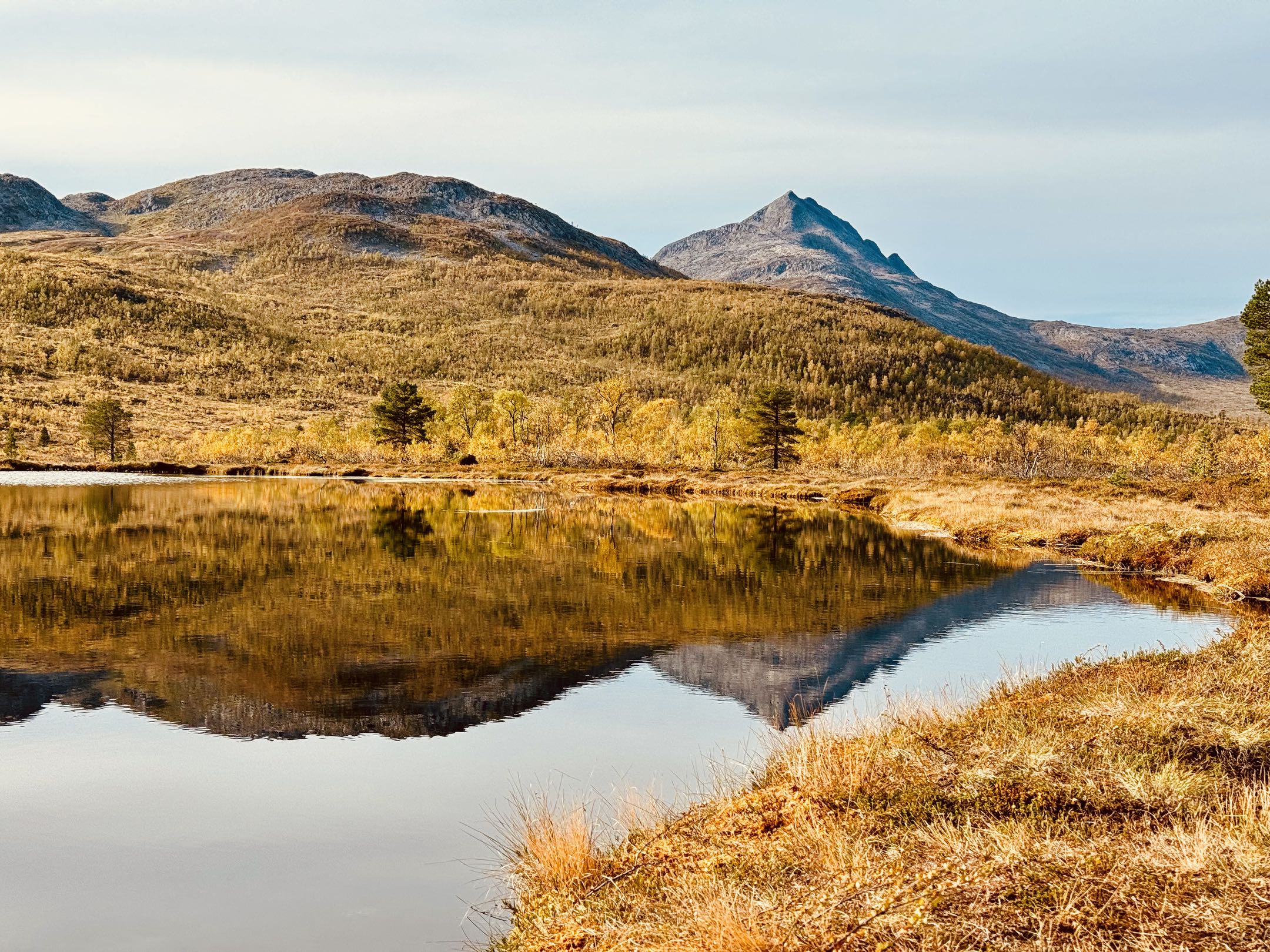 Mehr über den Artikel erfahren Wanderung zur Anderbu-Hütte im Ånderdalen-Nationalpark Senja – Kompletter Guide