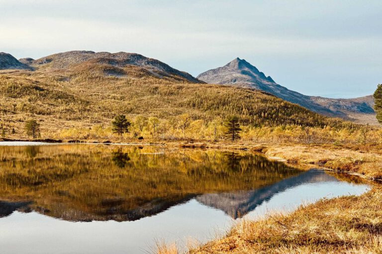Mehr über den Artikel erfahren Ånderdalen Nationalpark: Unsere Wanderung zum Åndervatnet