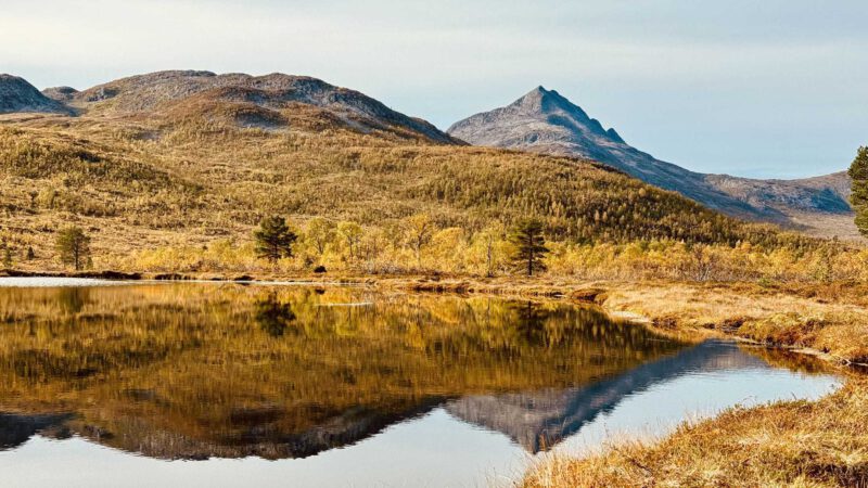 Ånderdalen Nationalpark: Unsere Wanderung zum Åndervatnet