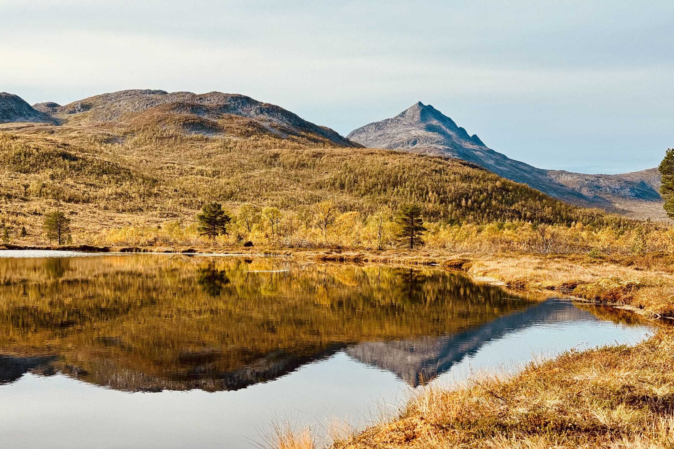 Wanderung zur Anderbu-Hütte im Ånderdalen-Nationalpark Senja – Kompletter Guide