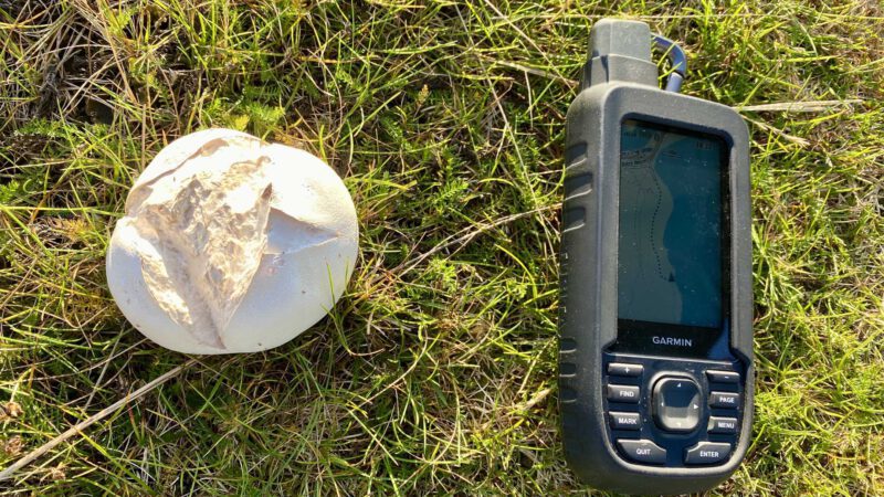 Garmin GPSMAP 65s im Test: Unsere Erfahrungen