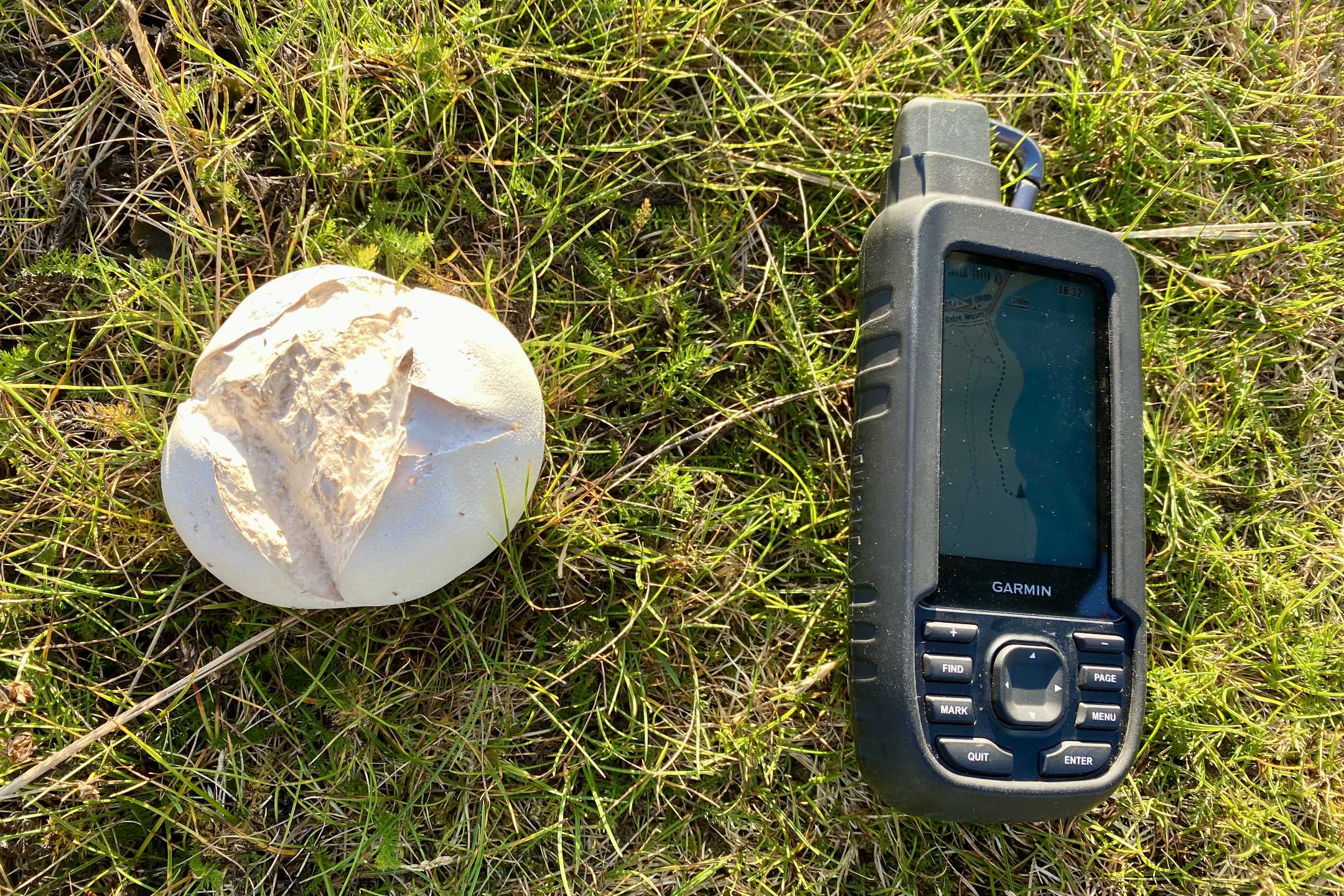 Mehr über den Artikel erfahren Garmin GPSMAP 65s im Praxistest – verlässliche Orientierung unterwegs