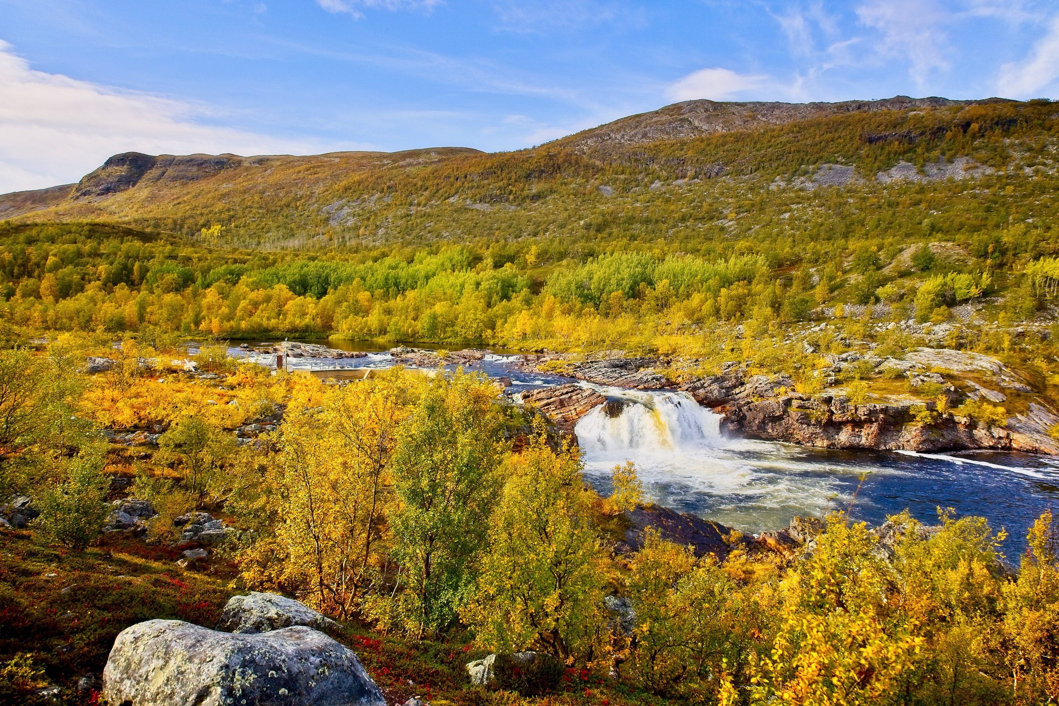 Mehr über den Artikel erfahren Wanderung zum Stabbursfossen – Naturerlebnis im Stabbursdalen Nationalpark