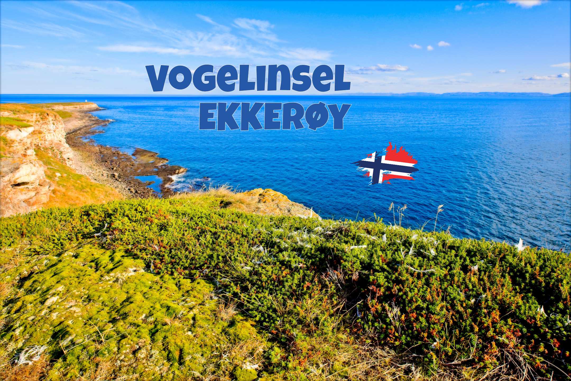 Mehr über den Artikel erfahren Rundwanderung auf Ekkerøy in Nordnorwegen: Vogelklippen, arktische Weite und wilde Küstenlandschaft