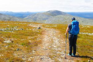 Mehr über den Artikel erfahren Sonfjället Nationalpark – Rundwanderung durch die schwedische Bärenheimat