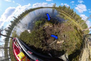 Mehr über den Artikel erfahren Trinkwasser beim Hiking – Warum ungefiltertes Wasser auch im hohen Norden keine gute Idee ist