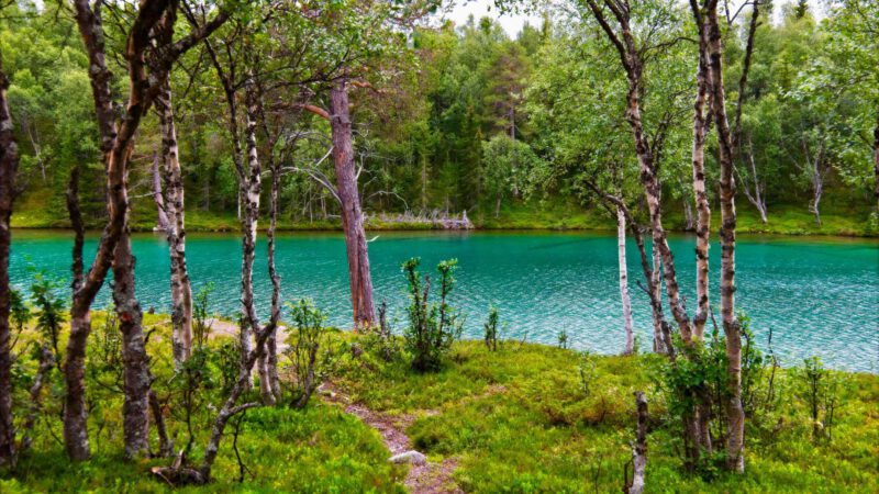 Vålådalen: Unsere Wanderung auf der Blanktjärnsrundan