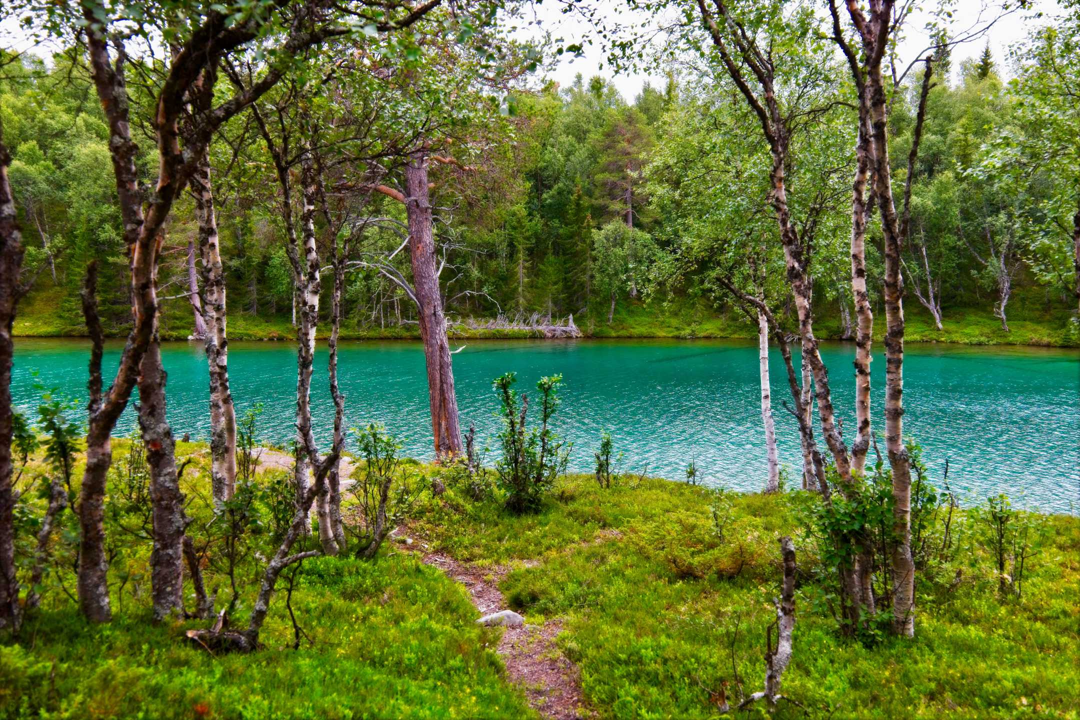 Mehr über den Artikel erfahren Vålådalen: Rundwanderung zum smaragdgrünen Blanktjärnarna
