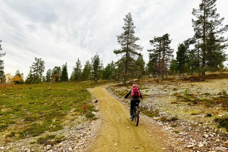 Mehr über den Artikel erfahren Mountainbike am Ylläs: Unsere Tour auf den Kukastunturi