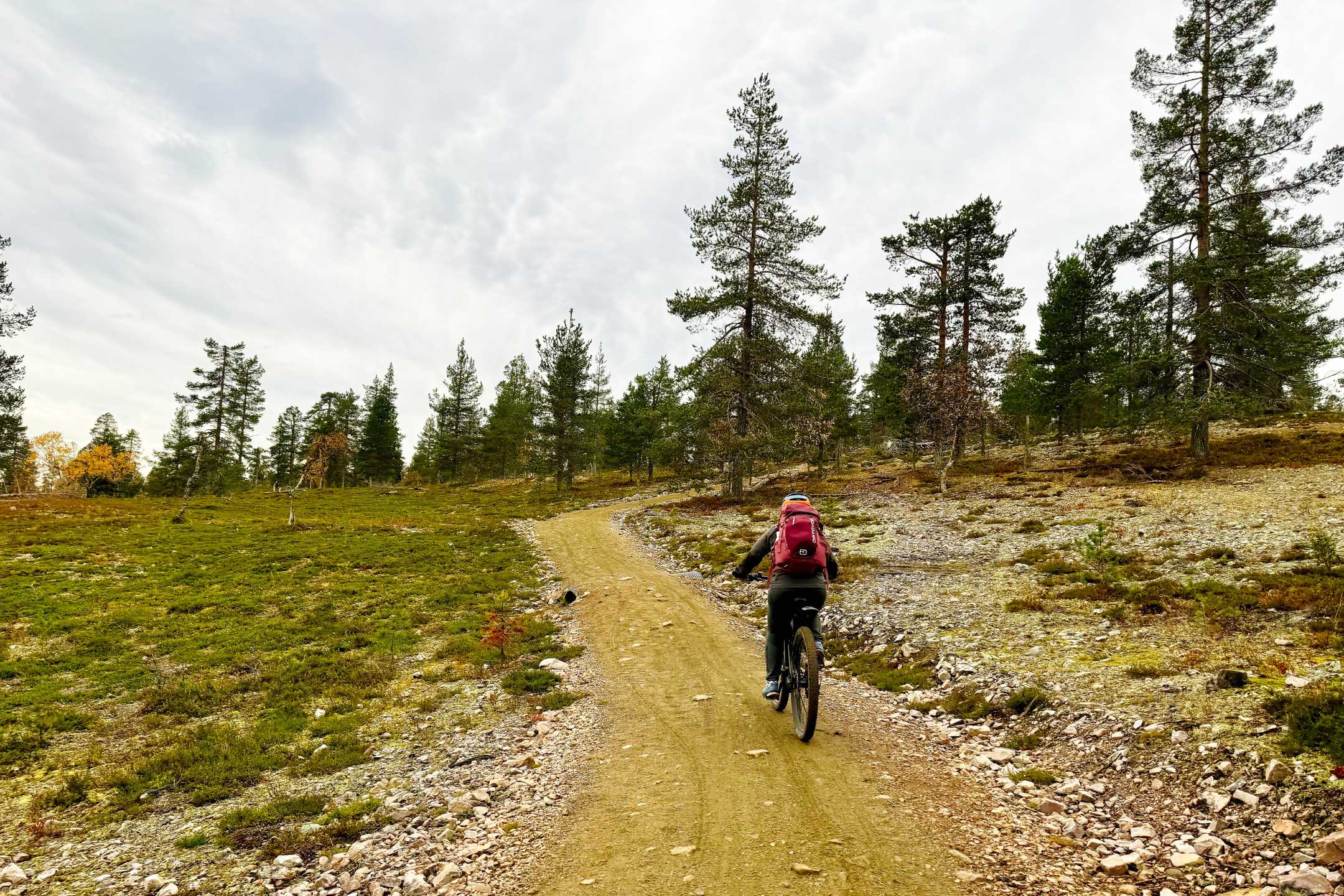 Mountainbike am Ylläs: Unsere Tour auf den Kukastunturi