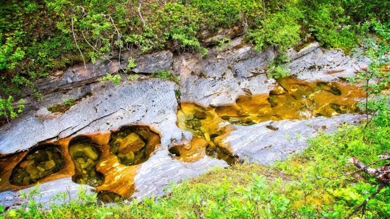 Bjurälven: Wanderung am unsichtbaren Fluss in Schweden