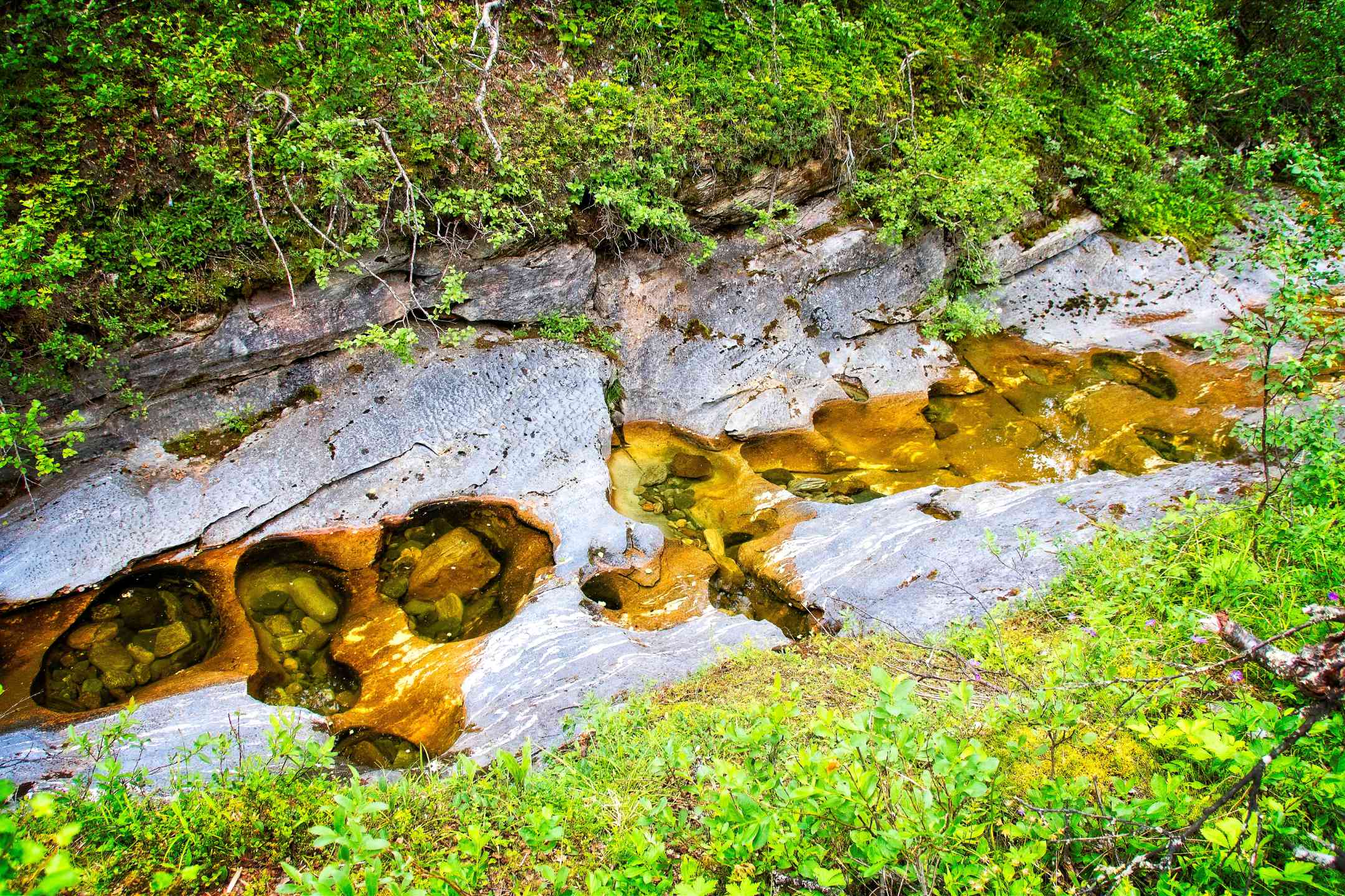 Bjurälven: Wanderung am unsichtbaren Fluss in Schweden