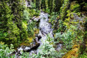 Mehr über den Artikel erfahren Brakkåfallet: Kurze Wanderung zu zwei Wasserfällen