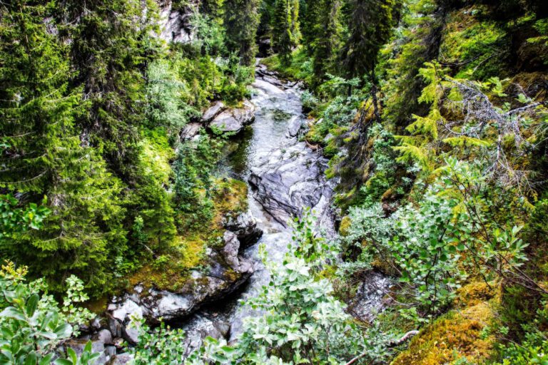Mehr über den Artikel erfahren Brakkåfallet: Kurze Wanderung zu zwei Wasserfällen