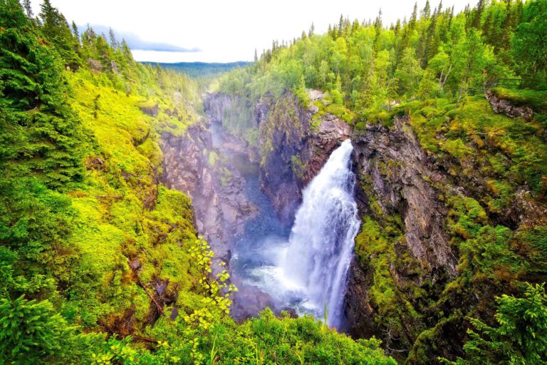 Mehr über den Artikel erfahren Hällingsåfallet: Wanderung am Canyon zum Wasserfall