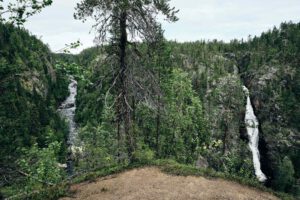 Mehr über den Artikel erfahren Muddus Nationalpark: Wanderung zum Muddusfallet