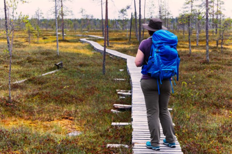 Mehr über den Artikel erfahren Pyhä-Luosto-Nationalpark: Unsere Wanderung durch das Tunturiaapa-Moor