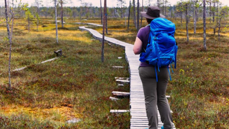 Pyhä-Luosto-Nationalpark: Unsere Wanderung durch das Tunturiaapa-Moor