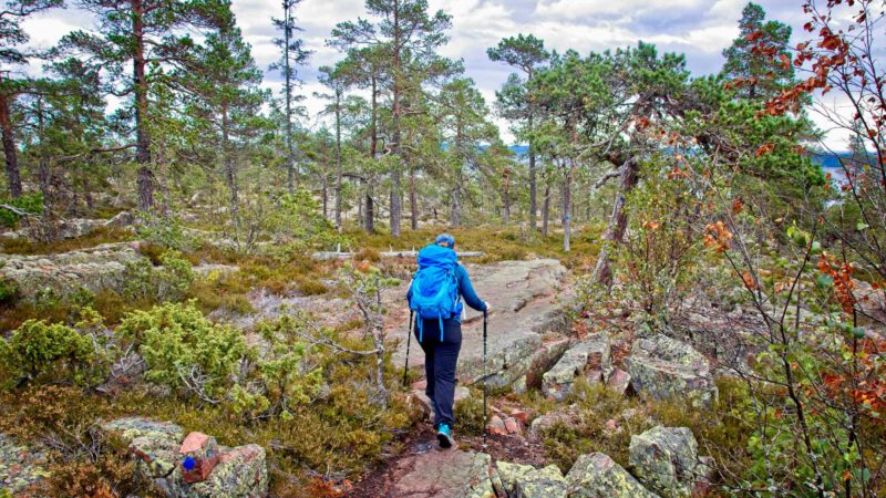 Skuleskogen Nationalpark: Wandern an der Höga Kusten