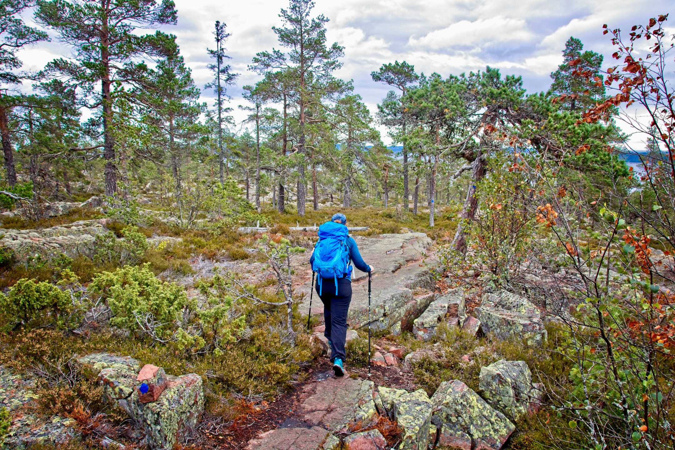 Skuleskogen Nationalpark: Wandern an der Höga Kusten