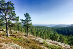 Mehr über den Artikel erfahren Skuleskogen: Kurze Wanderung zum Aussichtspunkt Nylandsruten