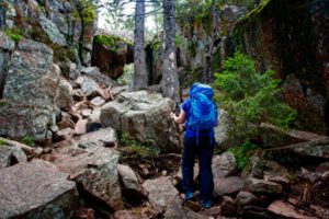Mehr über den Artikel erfahren Skuleskogen Wanderung: Slåttdalsskrevan ab Entré Syd