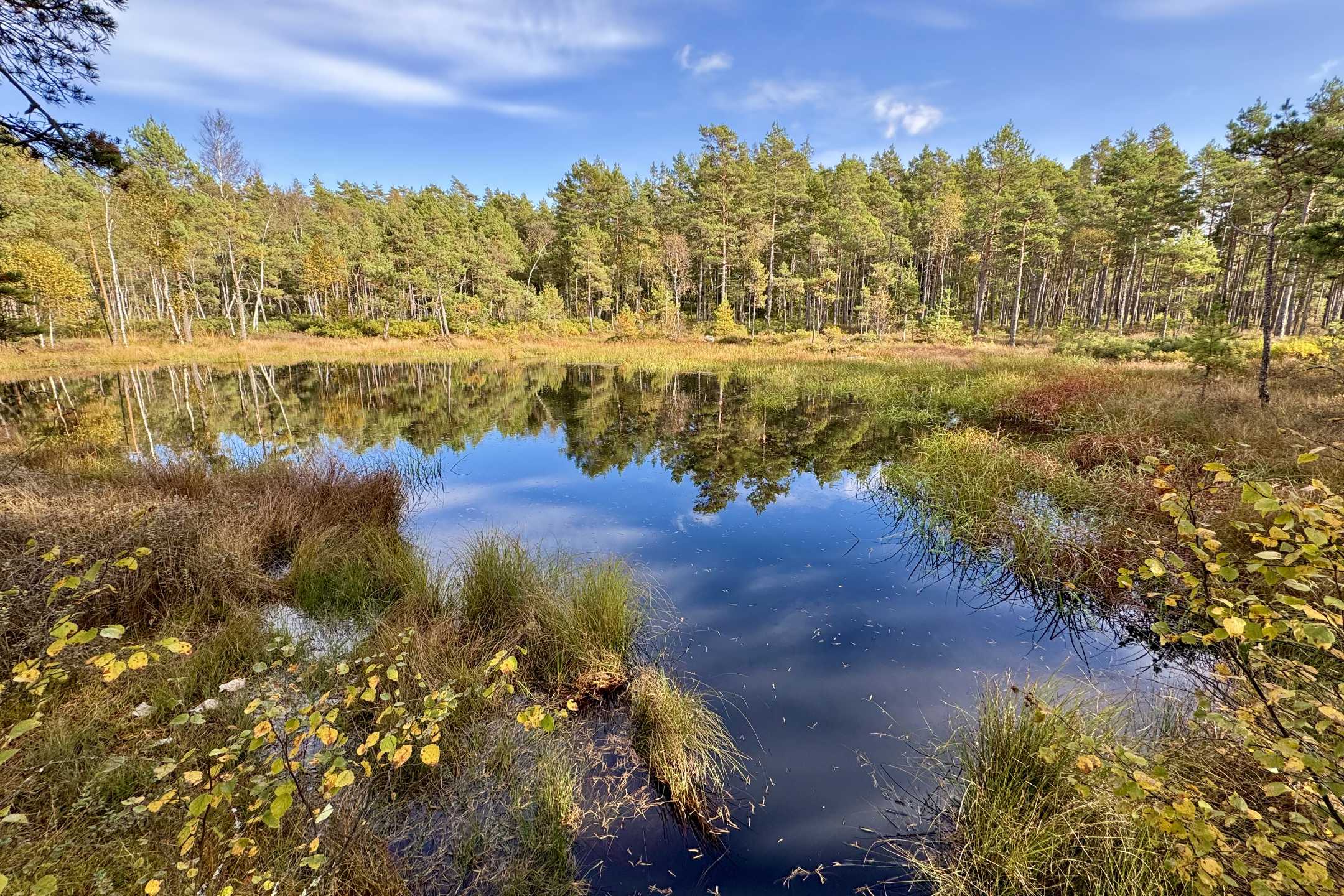 Du betrachtest gerade Store Mosse Nationalpark: Wandern durch Schwedens Moorlandschaft
