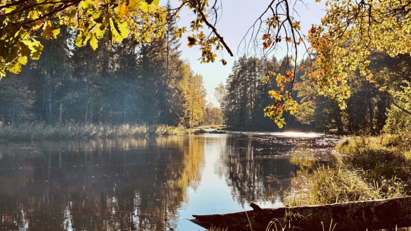 Färnebofjärden Nationalpark: Wandern, Wohnmobil & unsere Tipps