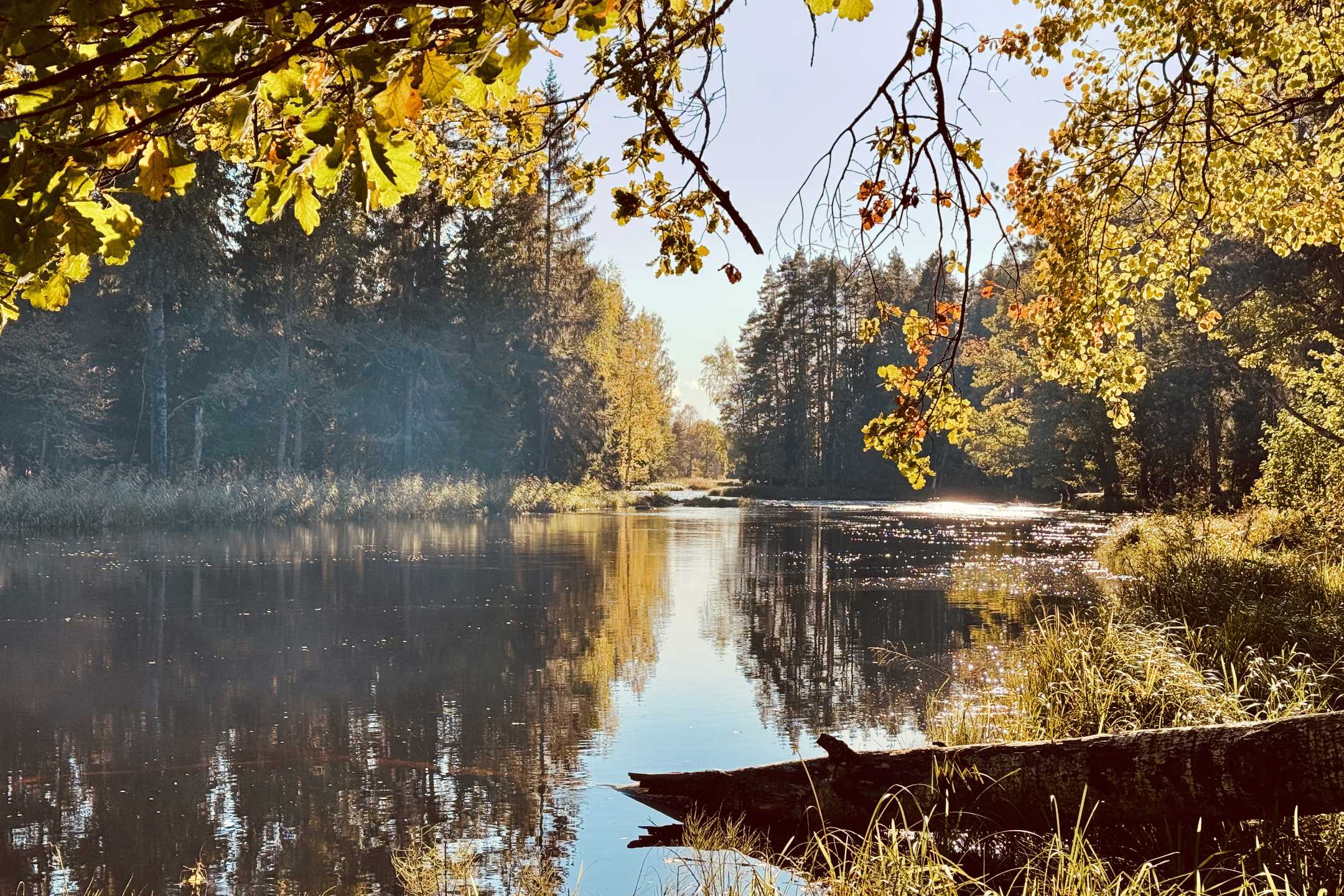 Färnebofjärden Nationalpark: Wandern, Wohnmobil & unsere Tipps