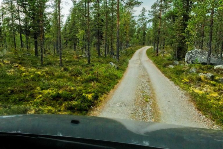 Mehr über den Artikel erfahren Gravel Roads zum Femund: Unsere Anfahrt in die Jyltingsmarka