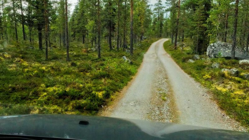 Gravel Roads zum Femund: Unsere Anfahrt in die Jyltingsmarka