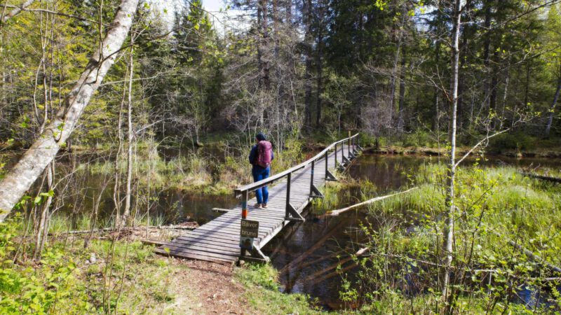 Alderängarna Naturreservat: Wanderung nach Laxholmen