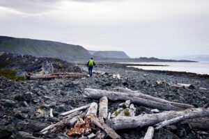 Mehr über den Artikel erfahren Wanderung in Hamningberg: Zum Walskelett und zur Höhle Ovn
