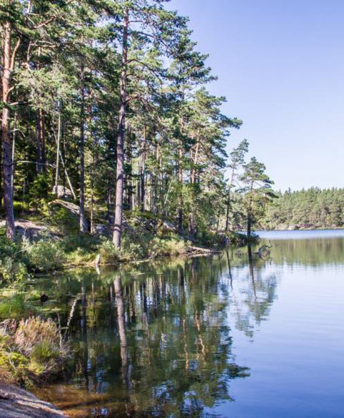 Im Tiveden Nationalpark