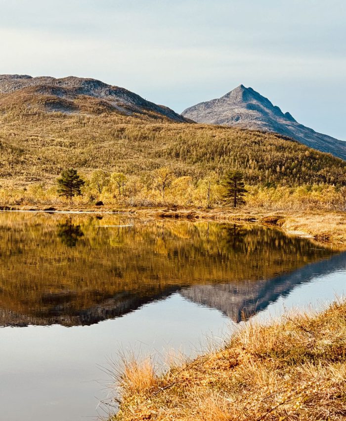 Wanderung zur Anderbu-Hütte im Ånderdalen-Nationalpark Senja – Kompletter Guide